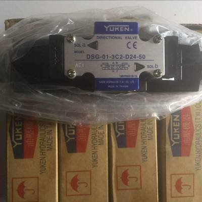 dsg-01-2d2-d24-50阀