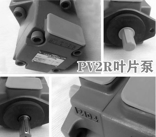 <a  target='_blank'><u>油研PV2R叶片泵</u></a>